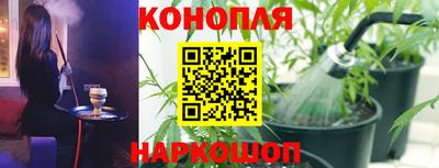 гашик Баксан