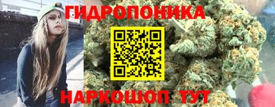 гашик Аша
