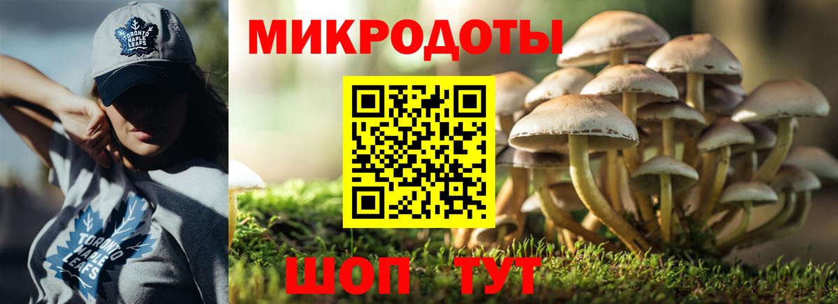 Псилоцибиновые грибы Magic Shrooms Губкин